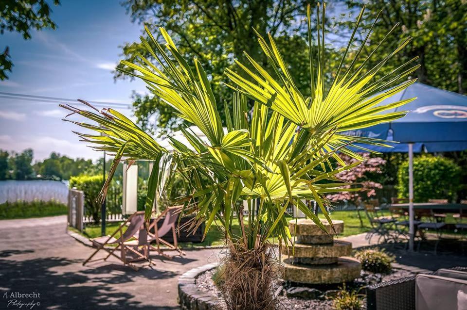 Sopherl Am See - Fruehstueck Auf Der Seeterrasse, Sehr Ruhig Und Wunderschoen Am See, 3 Minuten Nach Oberpfaffenhofen, Viele Radtouren, Restaurants & Cafes In Der Umgebung Weßling المظهر الخارجي الصورة